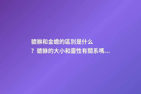 貔貅和金蟾的區別是什么？貔貅的大小和靈性有關系嗎？